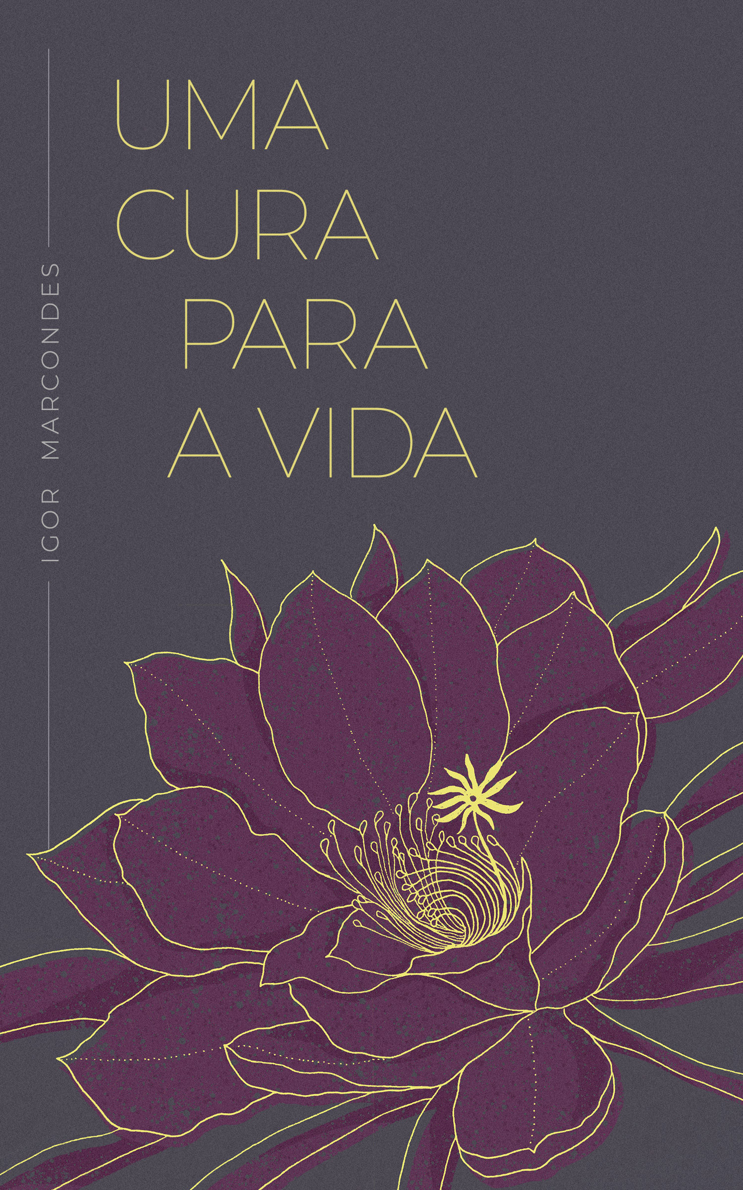 Capa de Uma cura para a vida